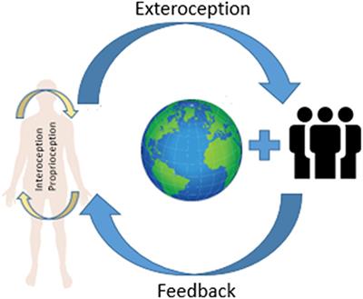 Self-knowledge as a Result of the Embodied and Social Cognition